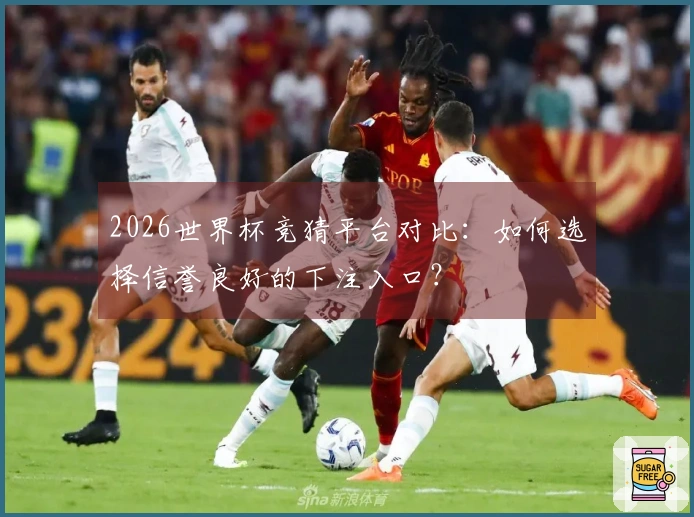 2026世界杯竞猜平台对比：如何选择信誉良好的下注入口？