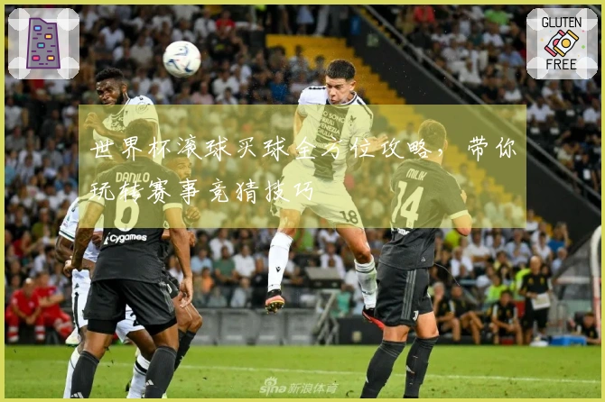 世界杯滚球买球全方位攻略，带你玩转赛事竞猜技巧