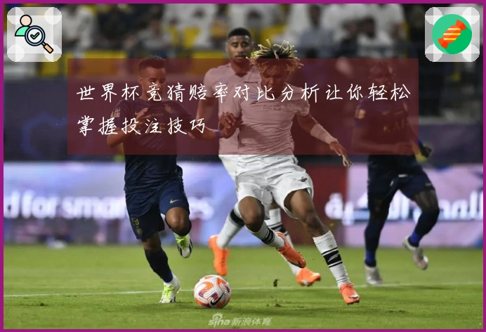 世界杯竞猜赔率对比分析让你轻松掌握投注技巧
