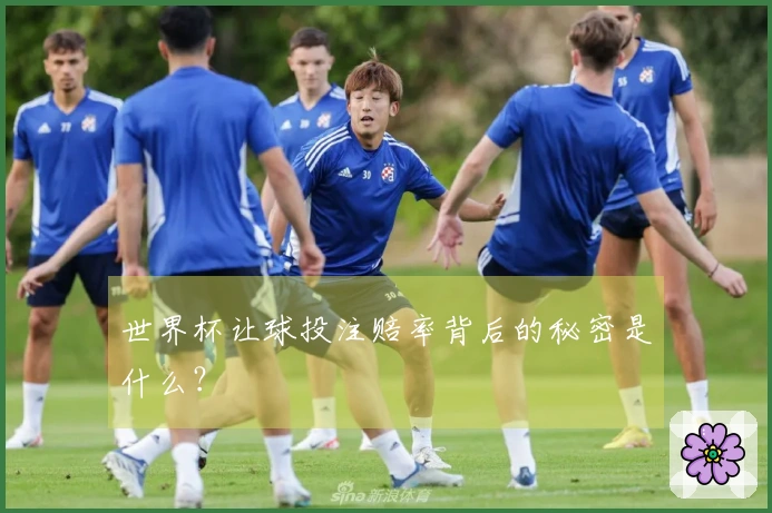 世界杯让球投注赔率背后的秘密是什么？