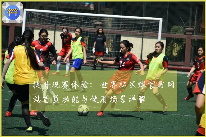 提升观赛体验：世界杯买球官方网站首页功能与使用场景详解