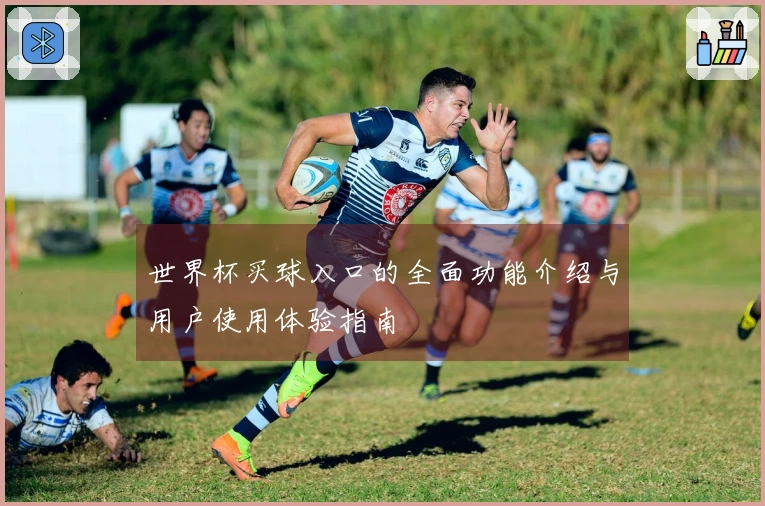 世界杯买球入口的全面功能介绍与用户使用体验指南