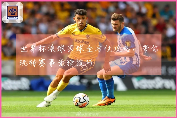 世界杯滚球买球全方位攻略,带你玩转赛事竞猜技巧