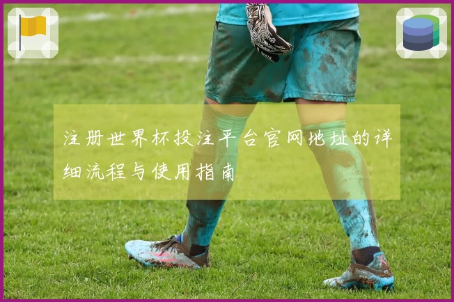 注册世界杯投注平台官网地址的详细流程与使用指南