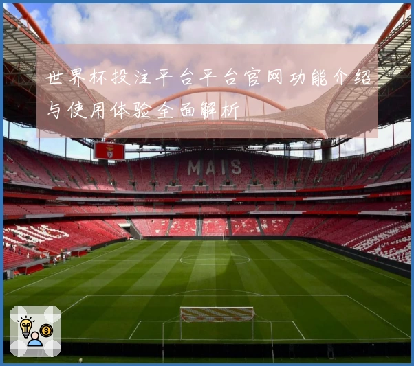 世界杯投注平台平台官网功能介绍与使用体验全面解析