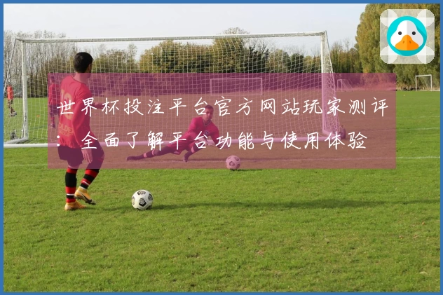 世界杯投注平台官方网站玩家测评：全面了解平台功能与使用体验
