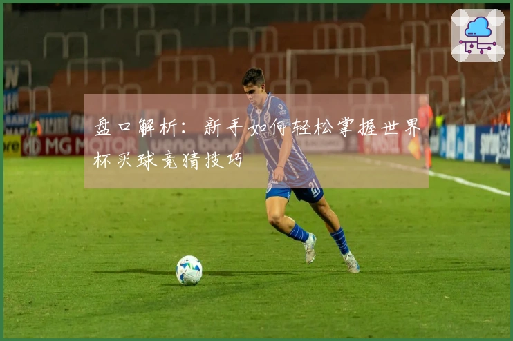 盘口解析：新手如何轻松掌握世界杯买球竞猜技巧