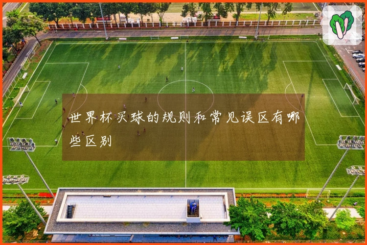 世界杯买球的规则和常见误区有哪些区别