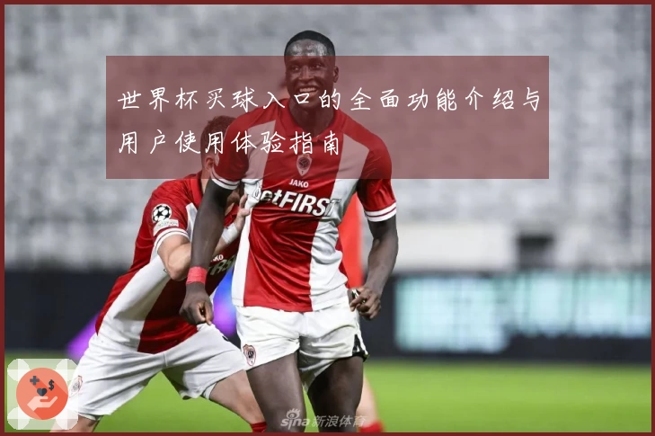世界杯买球入口的全面功能介绍与用户使用体验指南